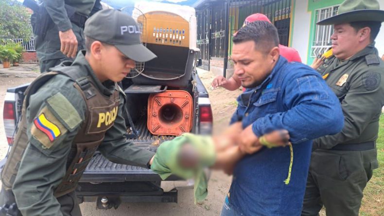 Presunta caza ilegal deja herido a un venado en el Huila