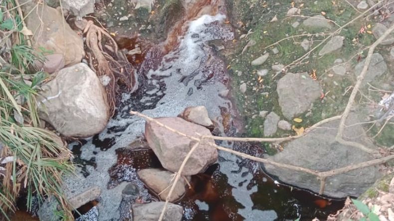 Denuncian contaminación del río Opia en el sector de la Samaria Denuncian contaminación del río Opia en el sector de la Samaria
