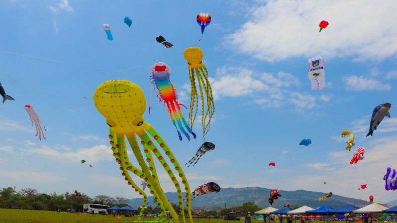 Vive este sábado el espectáculo de cometas gigantes y luces LED en Ibagué Vive este sábado el espectáculo de cometas gigantes y luces LED en Ibagué
