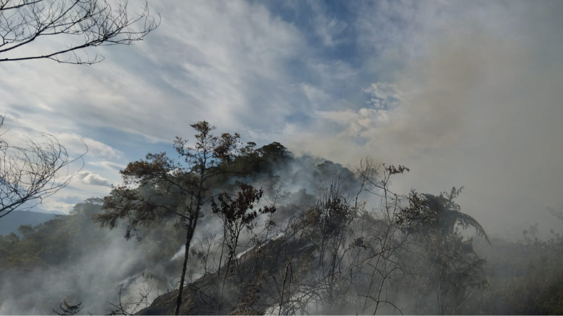 Tolima, en alerta por riesgo de incendios y temperaturas extremas Tolima, en alerta por riesgo de incendios y temperaturas extremas