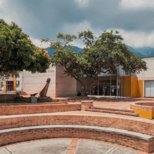 ¡Prográmese! Este viernes el MAT inaugurará cuatro exposiciones ¡Prográmese! Este viernes el MAT inaugurará cuatro exposiciones
