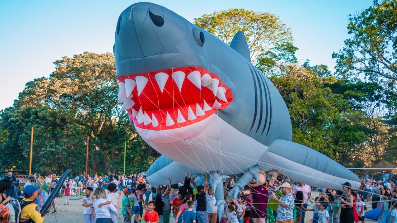 Más de 7.000 personas disfrutaron del Festival de cometas al aire en Ibagué Más de 7.000 personas disfrutaron del Festival de cometas al aire en Ibagué