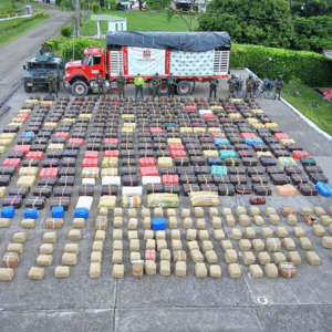 Más de ocho toneladas de marihuana fueron decomisadas en el Huila
