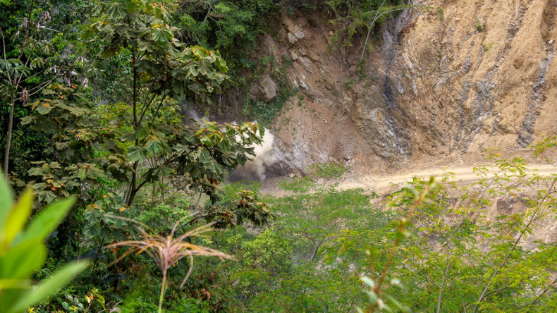 Tolima (11)