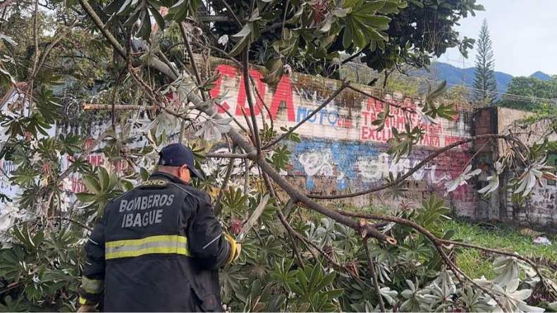 Reportan 20 emergencias por tormenta eléctrica en Ibagué Reportan 20 emergencias por tormenta eléctrica en Ibagué