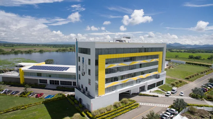 Clinaltec aplica en el Tolima técnica innovadora contra nódulos tiroideos Clinaltec aplica en el Tolima técnica innovadora contra nódulos tiroideos