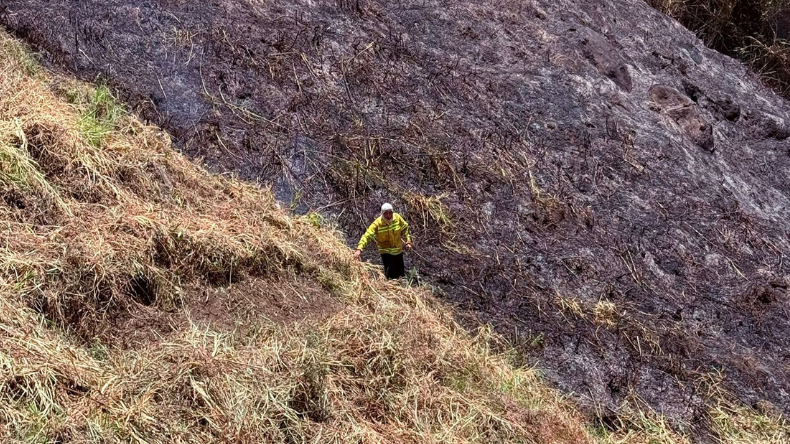 Incendios forestales en Ibagué dejaron gran afectación en la cobertura vegetal Incendios forestales en Ibagué dejaron gran afectación en la cobertura vegetal