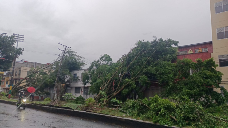 Tormenta en el Tolima dejó más de 50 mil habitantes sin energía Tormenta en el Tolima dejó más de 50 mil habitantes sin energía