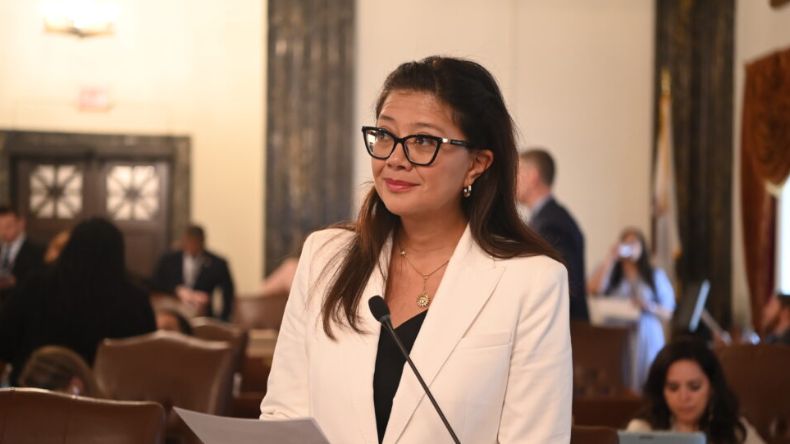 La senadora demócrata que se enfrentó a los agentes migratorios en Chicago La senadora demócrata que se enfrentó a los agentes migratorios en Chicago