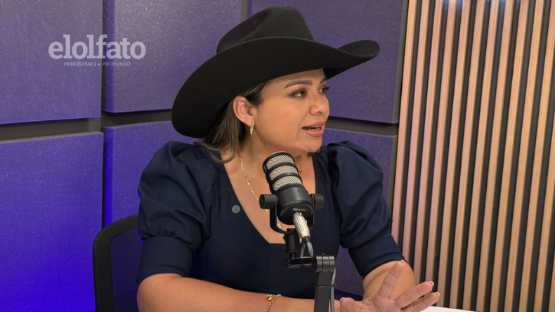 De la Espriella quiere a Lina María Garrido como fórmula vicepresidencial De la Espriella quiere a Lina María Garrido como fórmula vicepresidencial