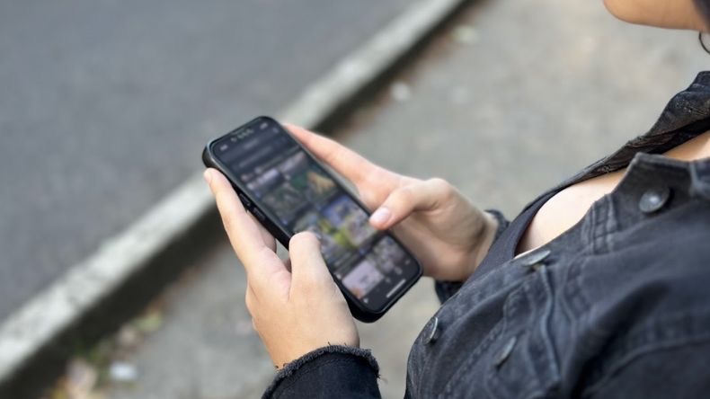 Las estafas en línea se disparan: alertan por aumento de anuncios falsos Las estafas en línea se disparan: alertan por aumento de anuncios falsos