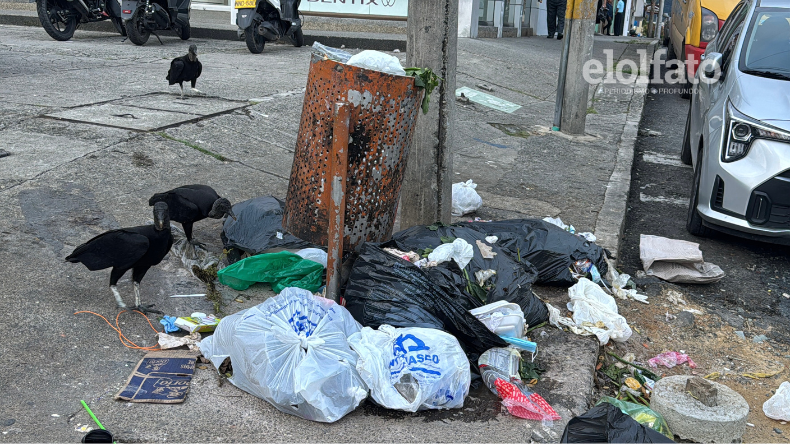Denuncian aumento de basuras sin control en la carrera Quinta de Ibagué