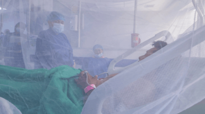 Lo que no debe hacer si tiene dengue Lo que no debe hacer si tiene dengue