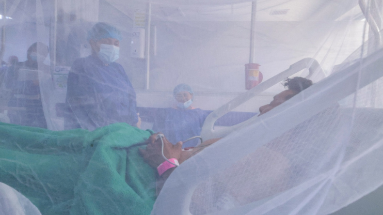 El Tolima registra más de 5.500 casos de dengue en lo corrido de este año El Tolima registra más de 5.500 casos de dengue en lo corrido de este año