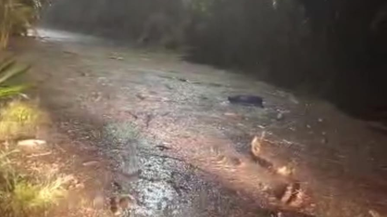 Bloqueada la vía al Cañón del Combeima por creciente súbita Bloqueada la vía al Cañón del Combeima por creciente súbita