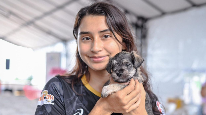 Vacune y desparasite gratis a su mascota este domingo en Ibagué