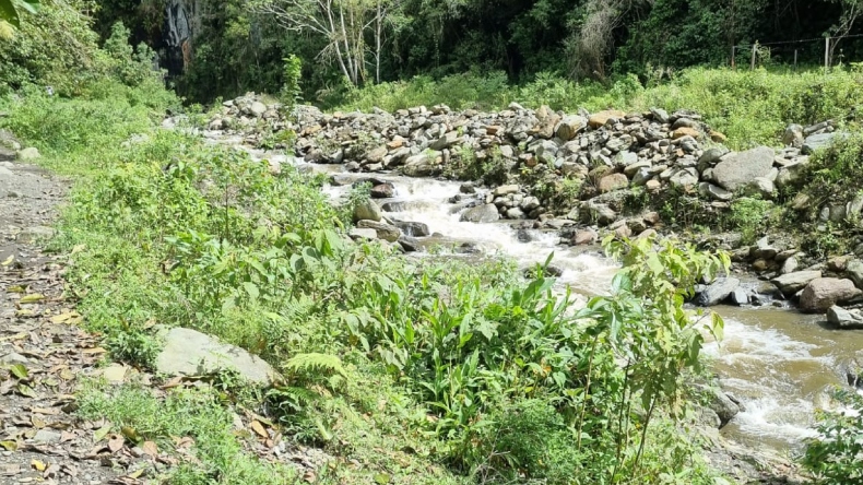 Temporada de lluvias deja afectaciones en Ibagué y Venadillo Temporada de lluvias deja afectaciones en Ibagué y Venadillo