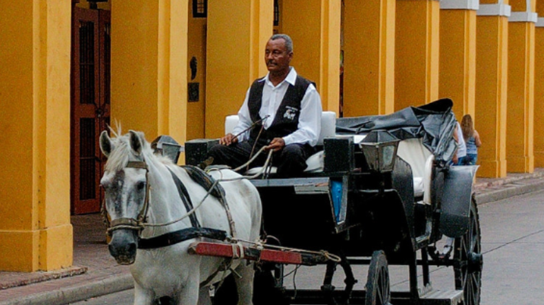 Cocheros de Cartagena anuncian huelga de hambre por carrozas eléctricas Cocheros de Cartagena anuncian huelga de hambre por carrozas eléctricas