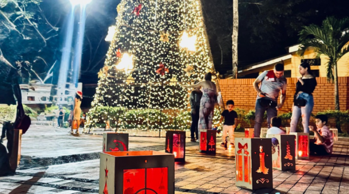 Comfatolima realizará su encendido navideño este 7 de diciembre