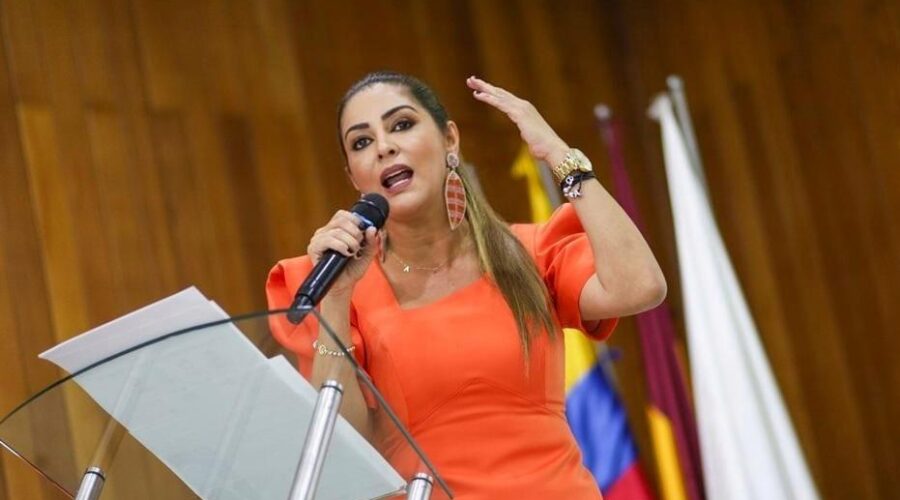 Gobernadora Matiz rechaza hostigamiento en Chaparral Gobernadora Matiz rechaza hostigamiento en Chaparral