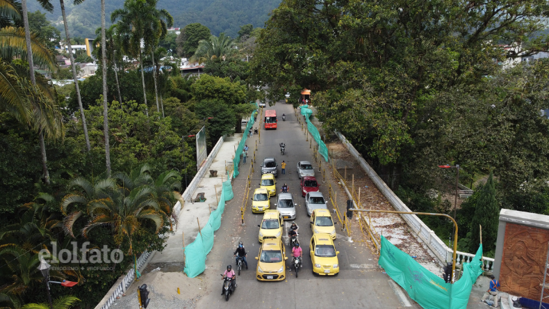 Veeduría pide que no se talen los samanes del Parque Centenario Veeduría pide que no se talen los samanes del Parque Centenario