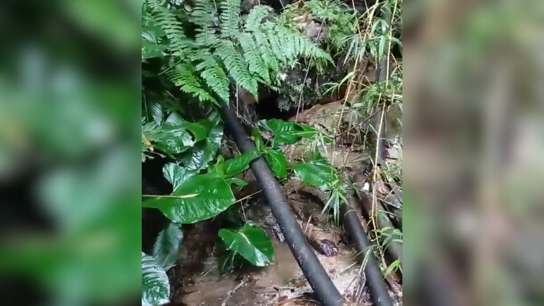 Alertan riesgo sanitario y ambiental en quebrada donde nace el río Chipalo Alertan riesgo sanitario y ambiental en quebrada donde nace el río Chipalo