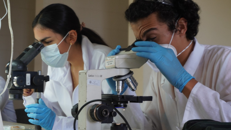 Programa de Biología de la UT recibió reacreditación de alta calidad Programa de Biología de la UT recibió reacreditación de alta calidad