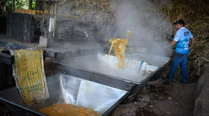 Inversión de $4.000 millones busca reducir la tala y mejorar la producción en Rovira Inversión de $4.000 millones busca reducir la tala y mejorar la producción en Rovira