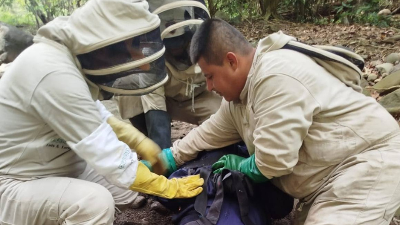 Un hombre murió al intentar extraer miel en una zona veredal de Lérida Un hombre murió al intentar extraer miel en una zona veredal de Lérida