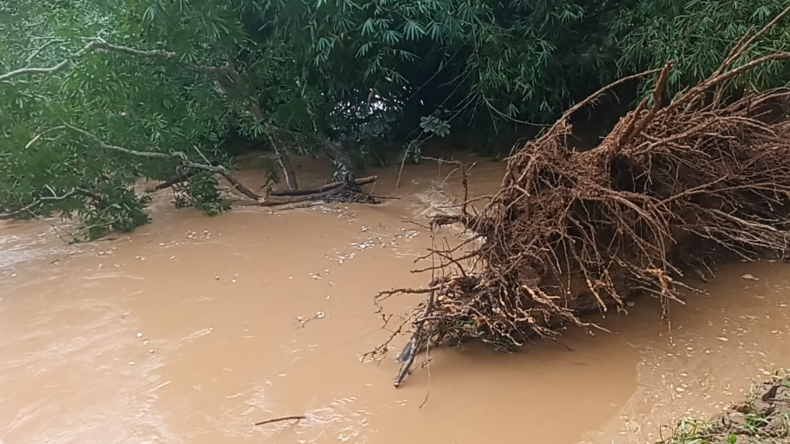 Fuertes lluvias en Melgar dejaron viviendas afectadas e inundaciones Fuertes lluvias en Melgar dejaron viviendas afectadas e inundaciones