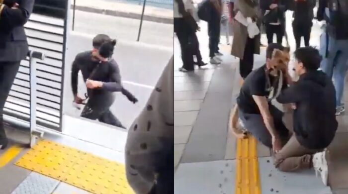 Video en Transmilenio en Bogotá muestra a jóvenes imitando conductas “therian” Video en Transmilenio en Bogotá muestra a jóvenes imitando conductas “therian”